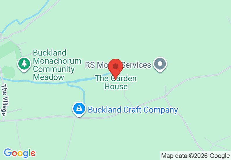 Google Map image