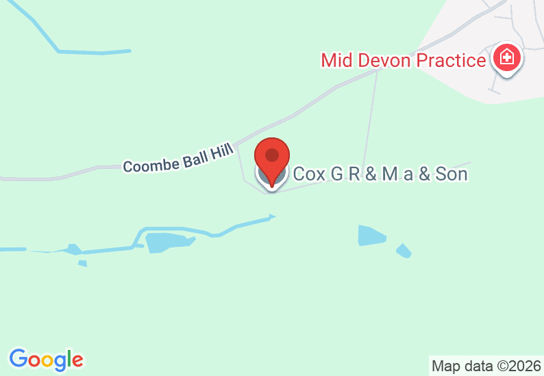 Google Map image