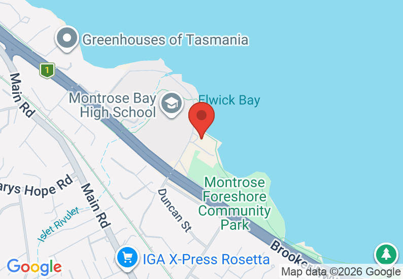 Google Map image