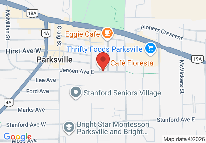 Google Map image
