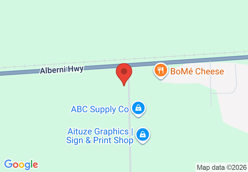 Google Map image