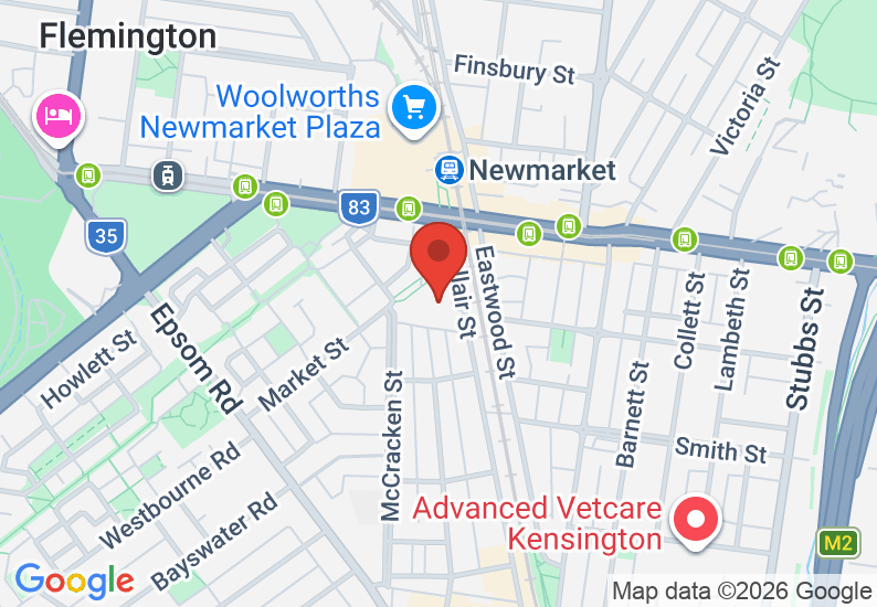 Google Map image