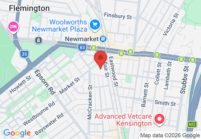 Google Map image