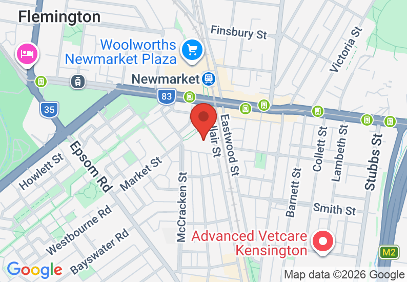 Google Map image