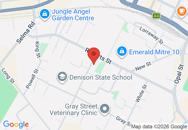Google Map image