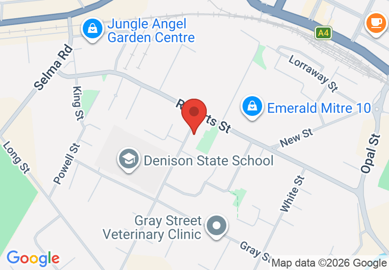 Google Map image