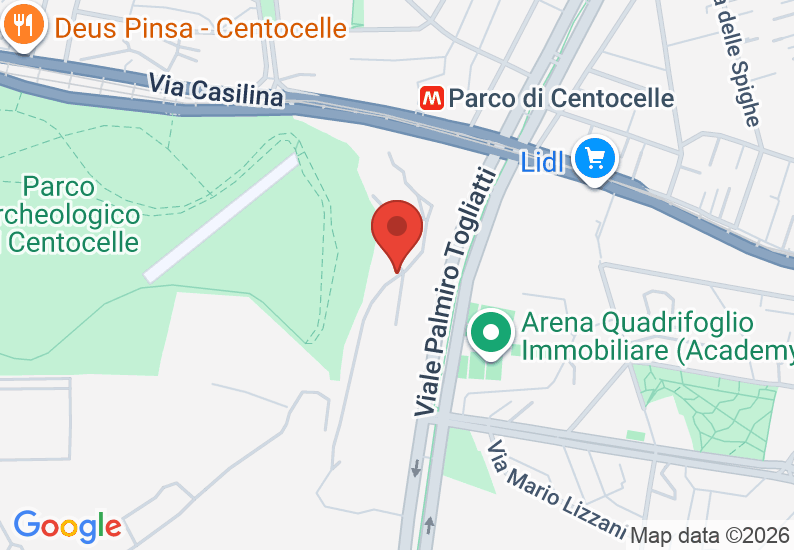 Google Map image