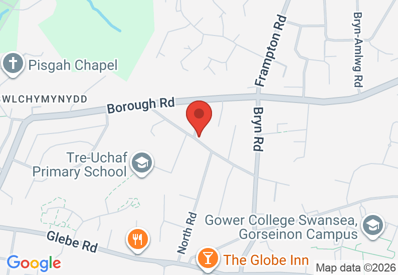 Google Map image
