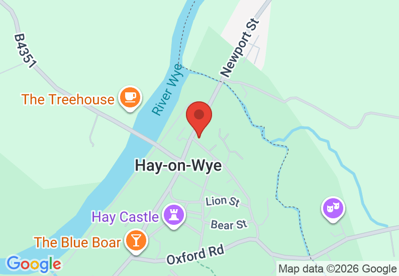 Google Map image