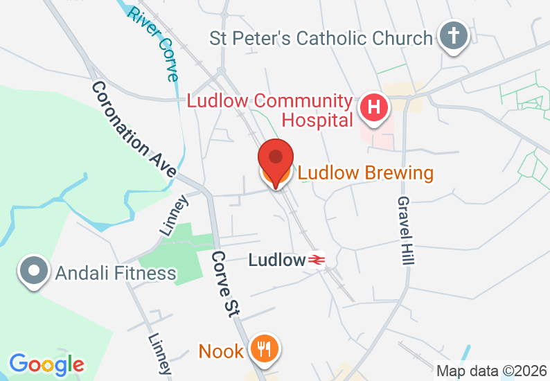 Google Map image