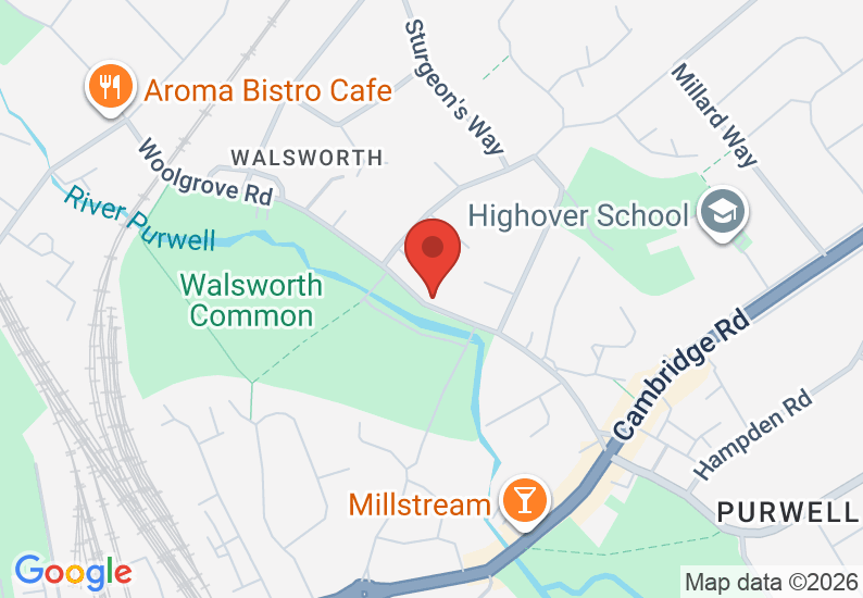 Google Map image
