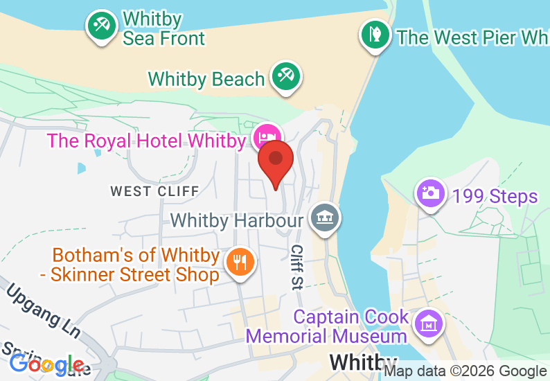 Google Map image