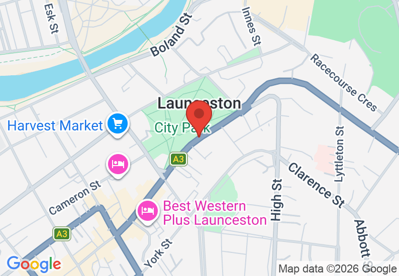 Google Map image