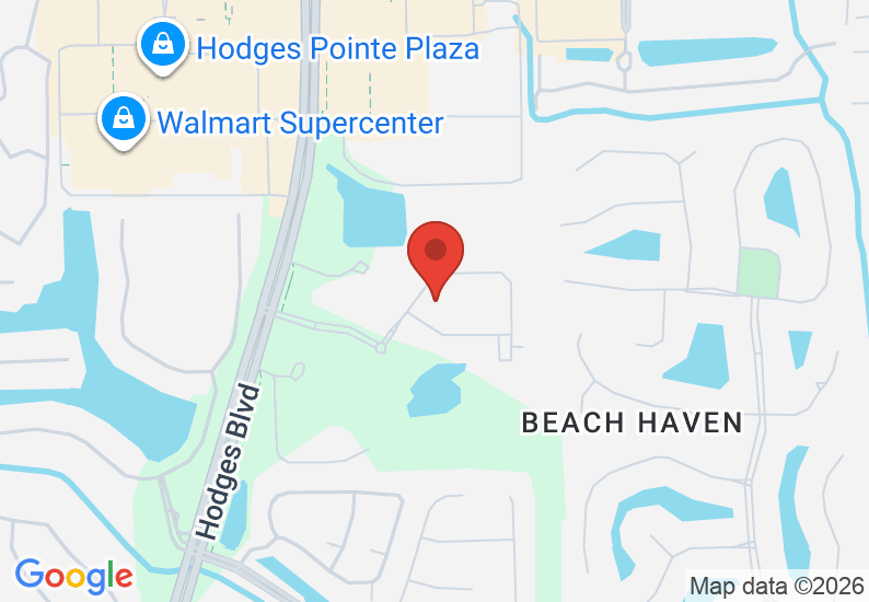 Google Map image
