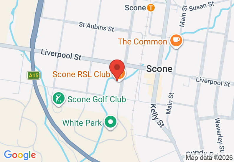 Google Map image