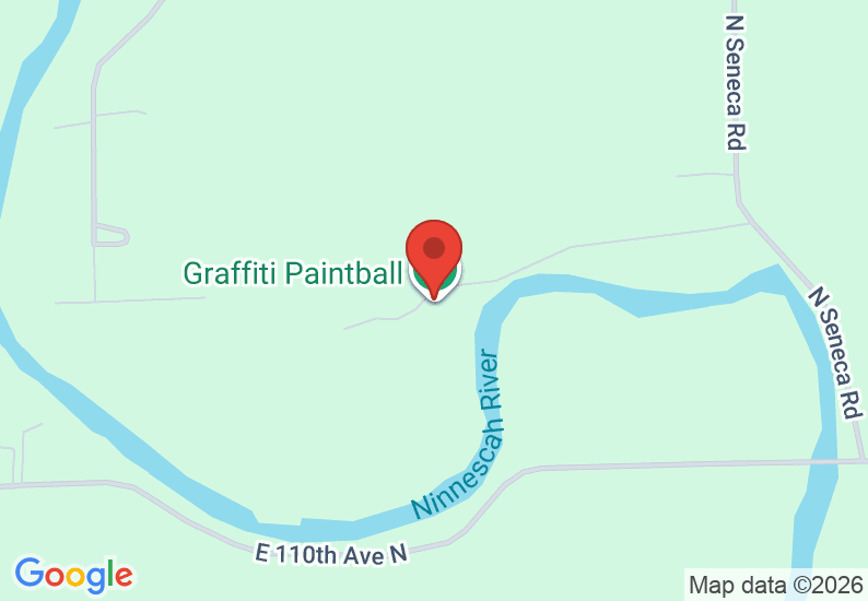 Google Map image