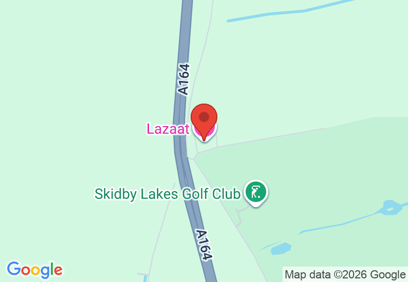 Google Map image