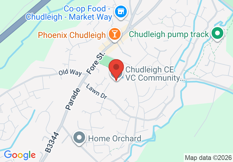 Google Map image