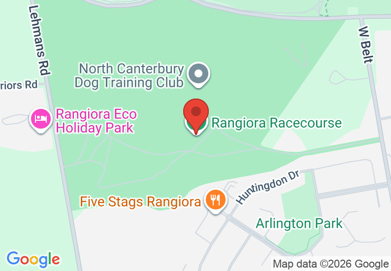 Google Map image