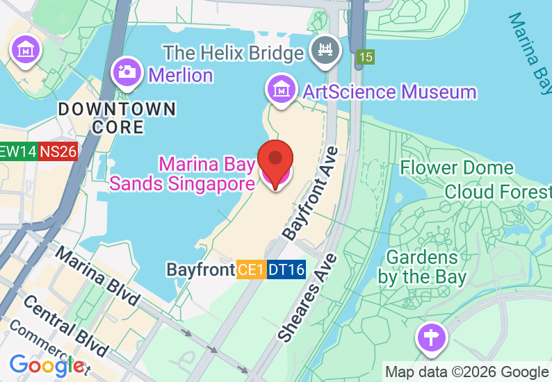 Google Map image