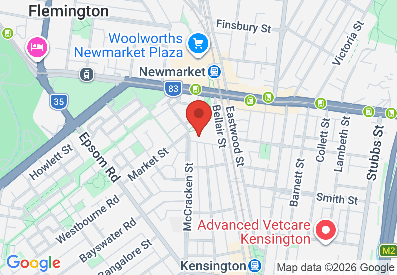 Google Map image
