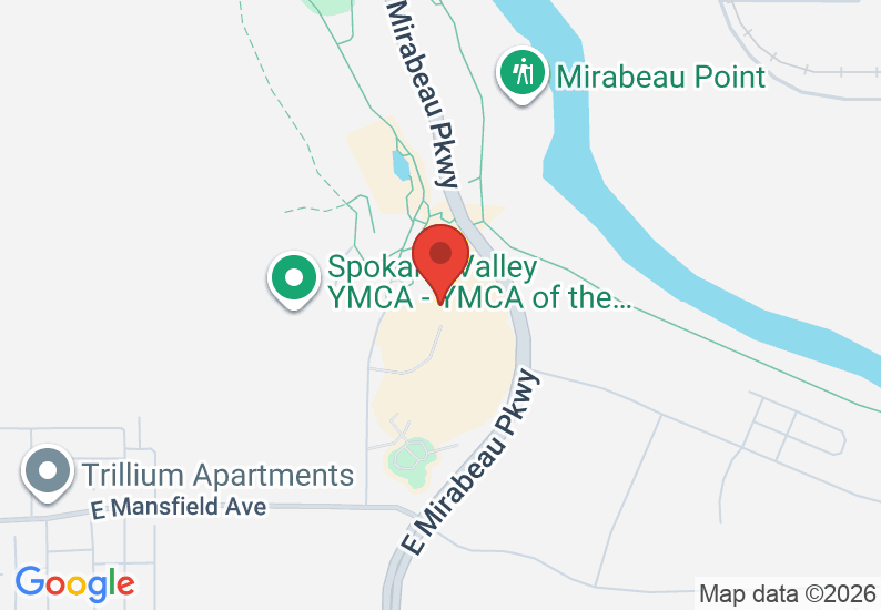 Google Map image