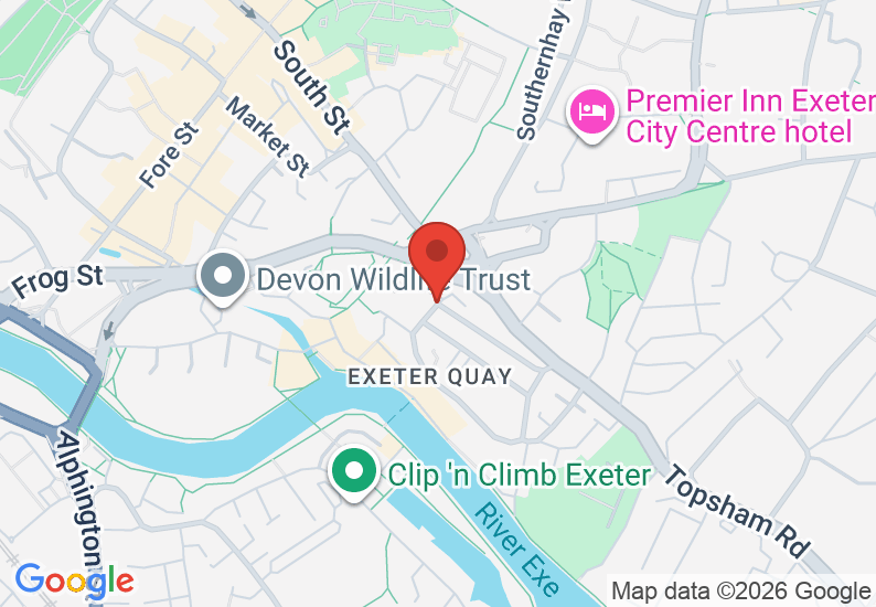 Google Map image