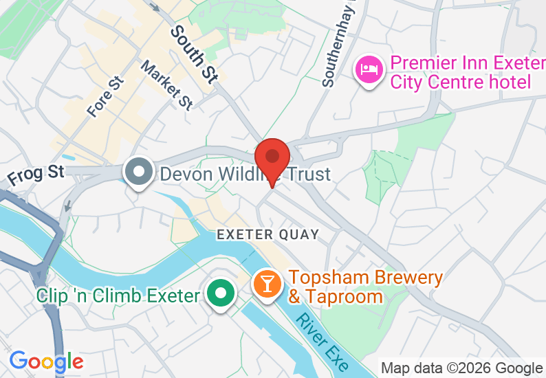 Google Map image