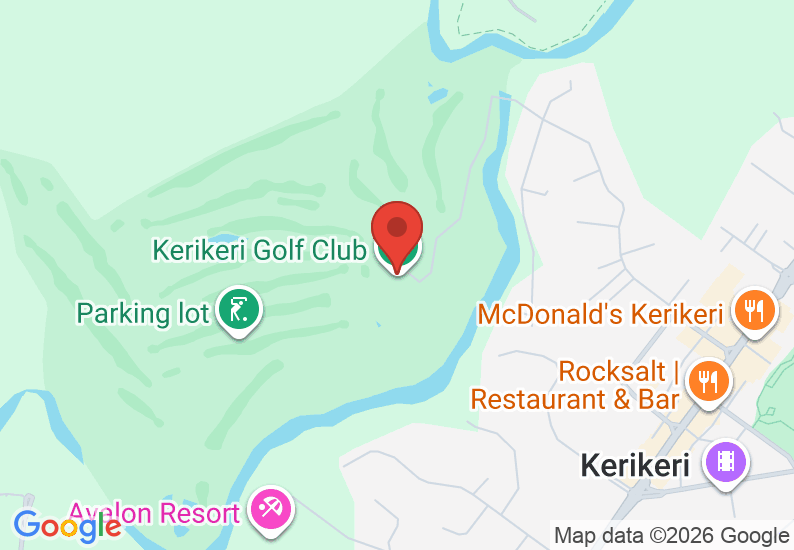 Google Map image