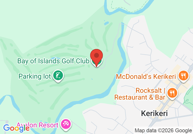 Google Map image