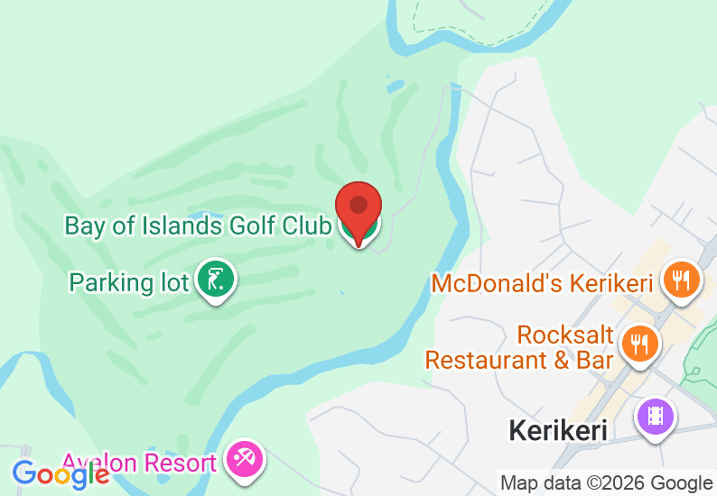 Google Map image