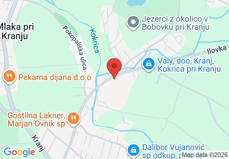 Google Map image